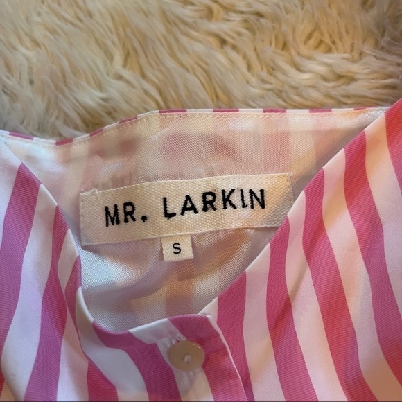 Mr. Larkin Penelope Dress in Pink Stripe - Size Small - Picture 9 of 11